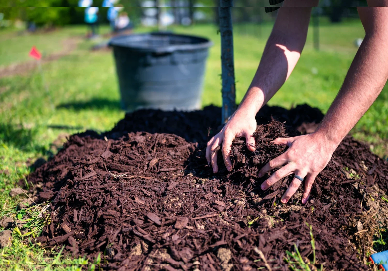 Mulching Services in Annapolis: When to Mulch, What to Use, and Why It Matters