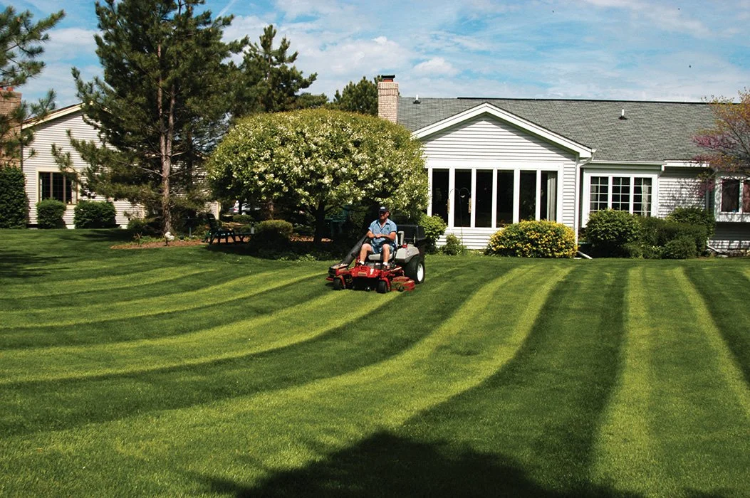 Residential Lawn Care in Annapolis: How Locals Keep Their Lawns Healthy Year-Round