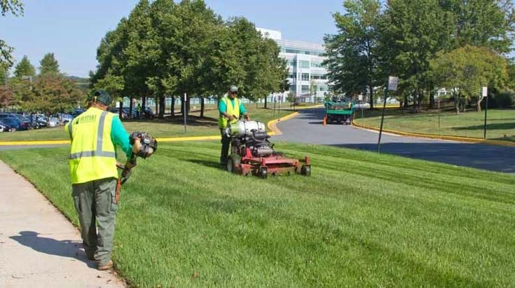 Commercial Lawn Care Annapolis: The Contract Clause Most HOAs Forget to Ask For