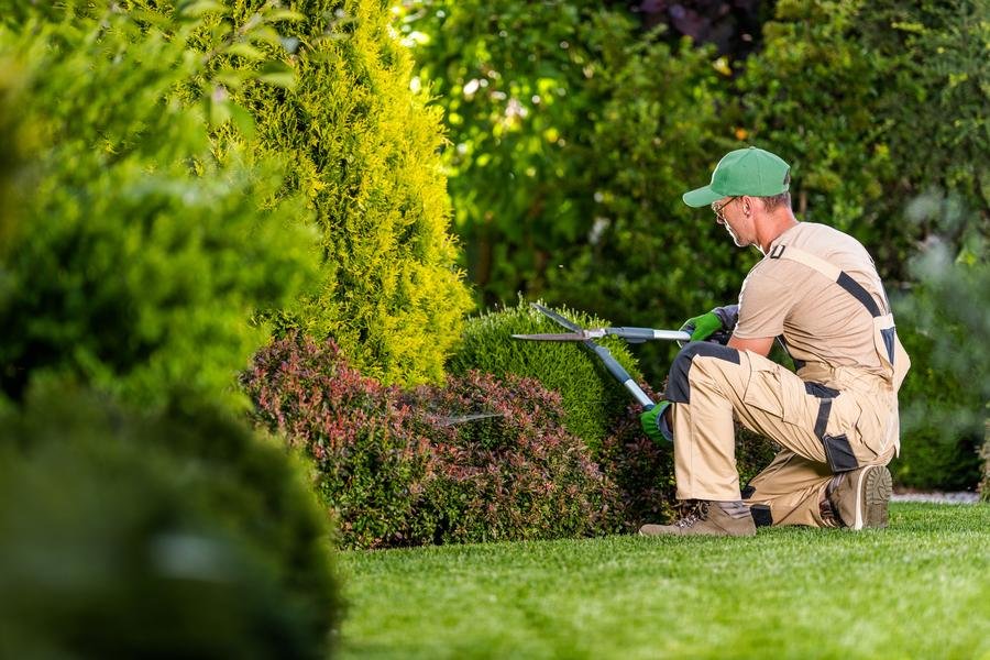Landscaping Services Bowie: What Changes About Yard Care Compared to Waterfront Annapolis Properties