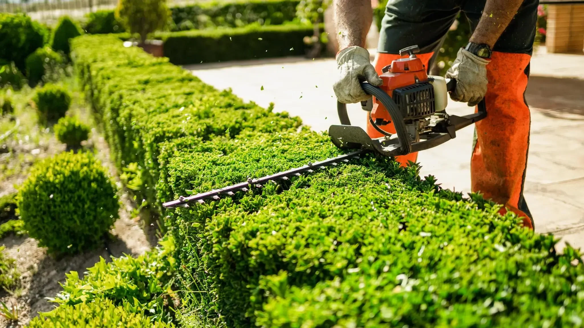 Lawn Care