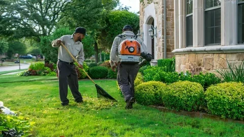 Landscaping Services