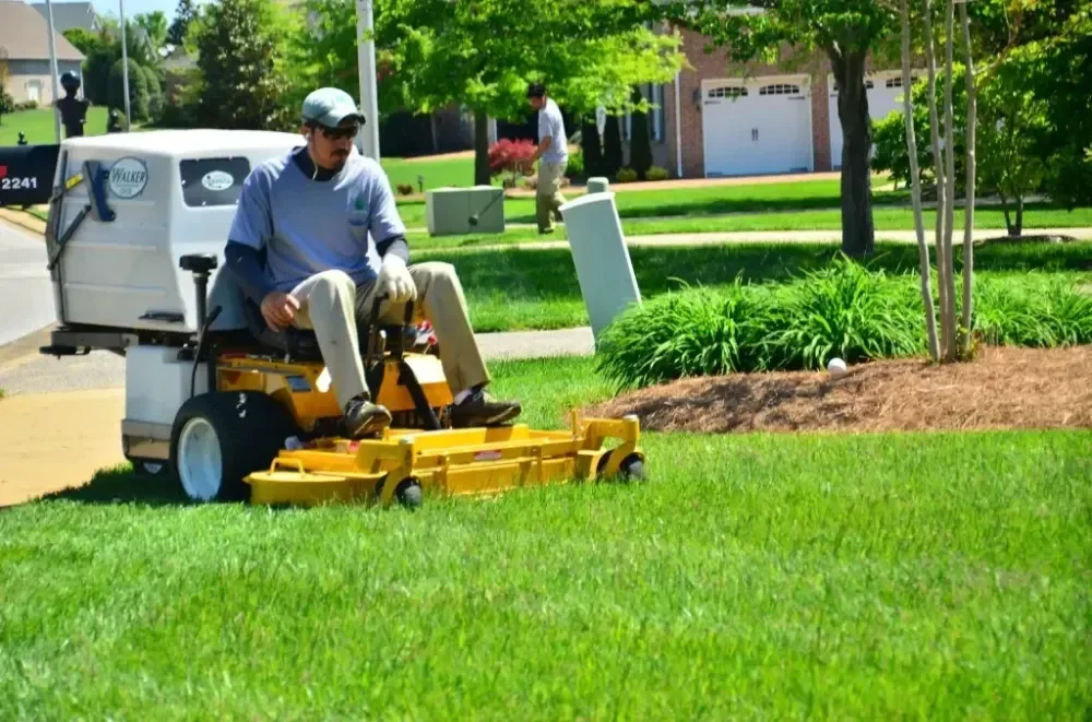 How to Tell Whether Your Davidsonville Lawn