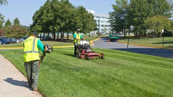 commercial lawn care