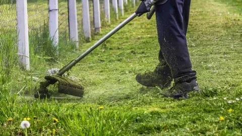 grass cutting services