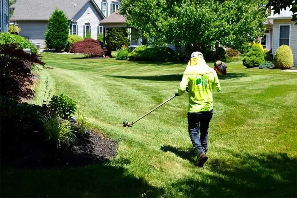 How to Maintain Grass in Shaded Areas