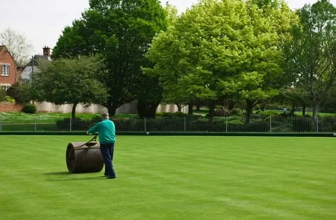 lawn care