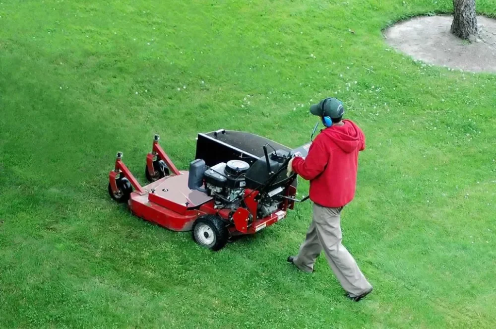 How to Fix Common Landscaping Problems Before They Become