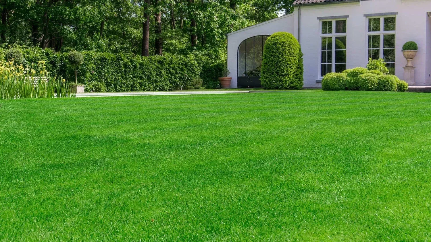 Backyard Landscaping in Arnold