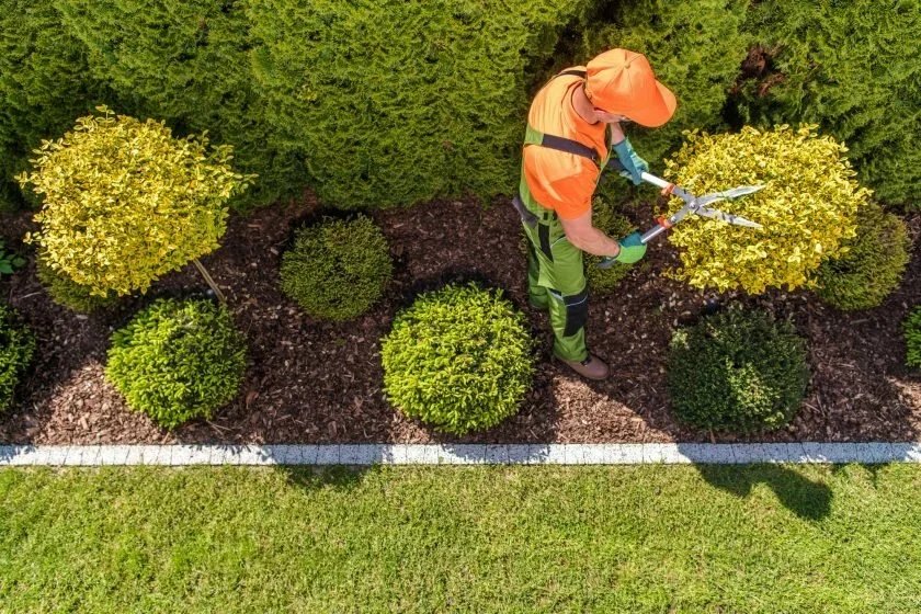 landscaping