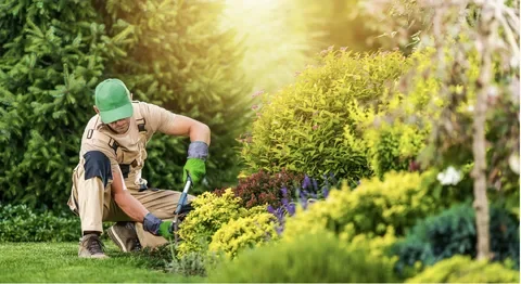 landscaping services