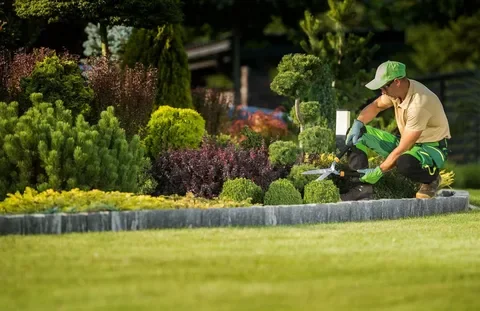Lawn Care
