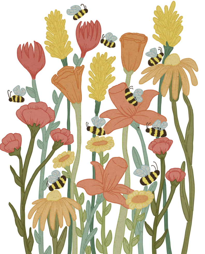 Screenshot 2024-02-02 at 12.58.46 PM.png