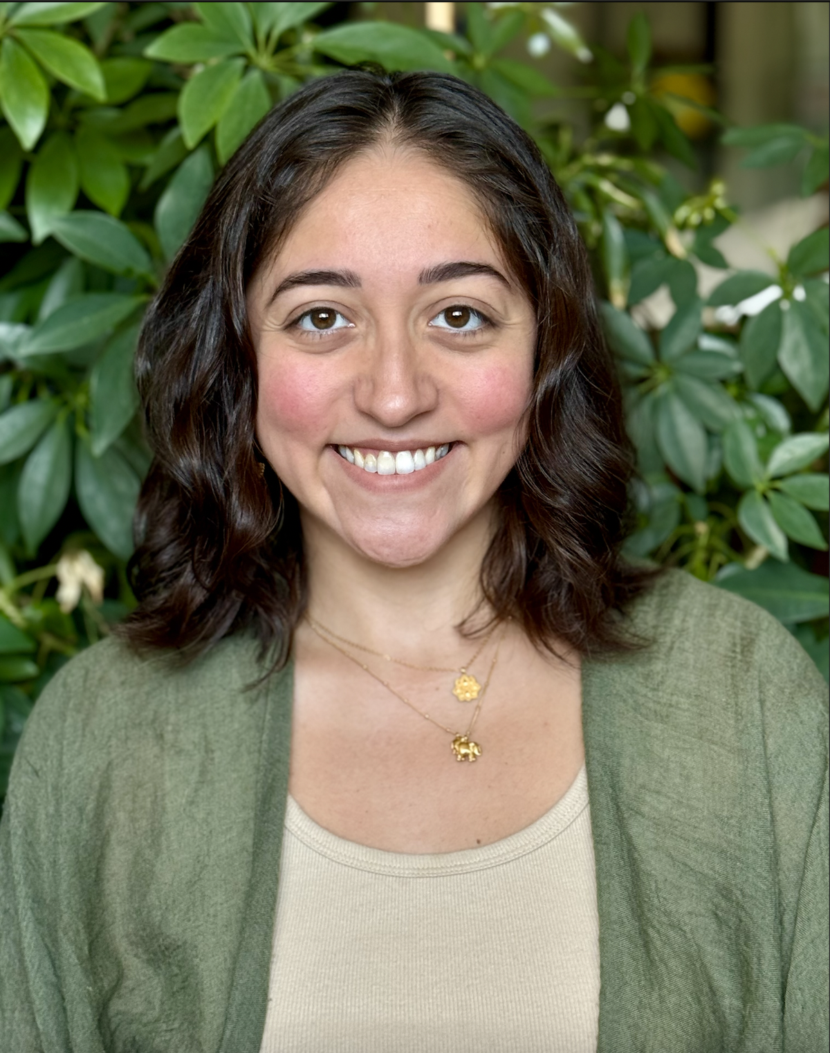 Holistic online therapist in Westchester NY