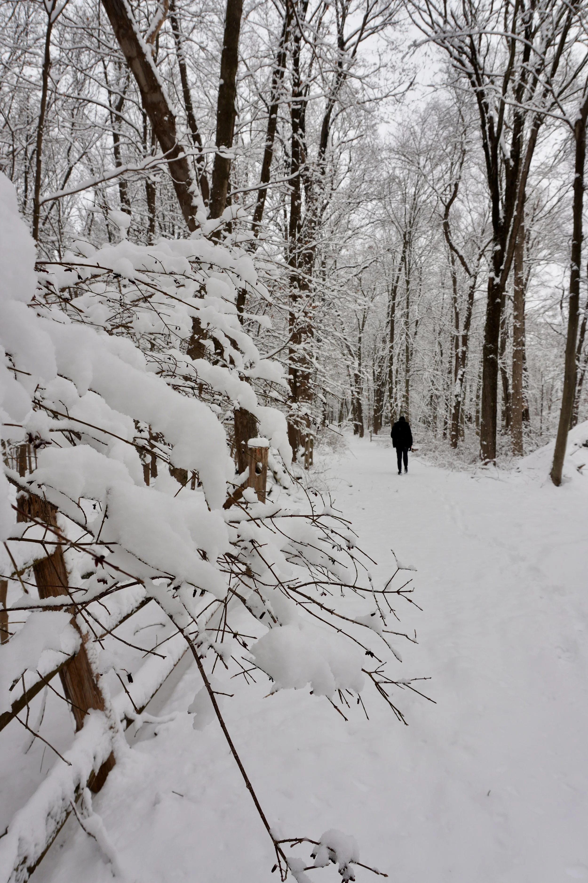 shamanic therapy in westchester ny