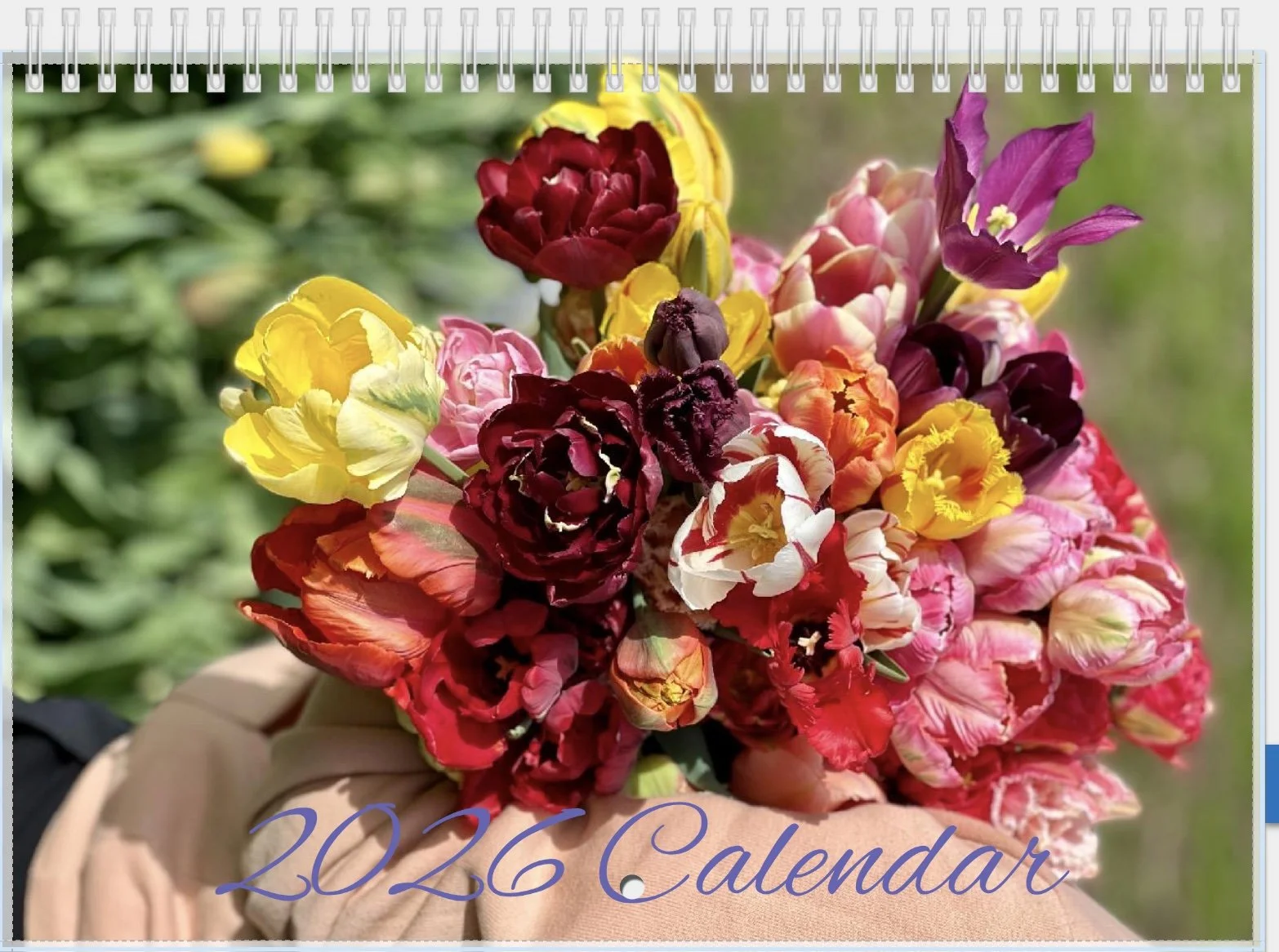 Image 11-13-25 at 8.10 PM.jpeg