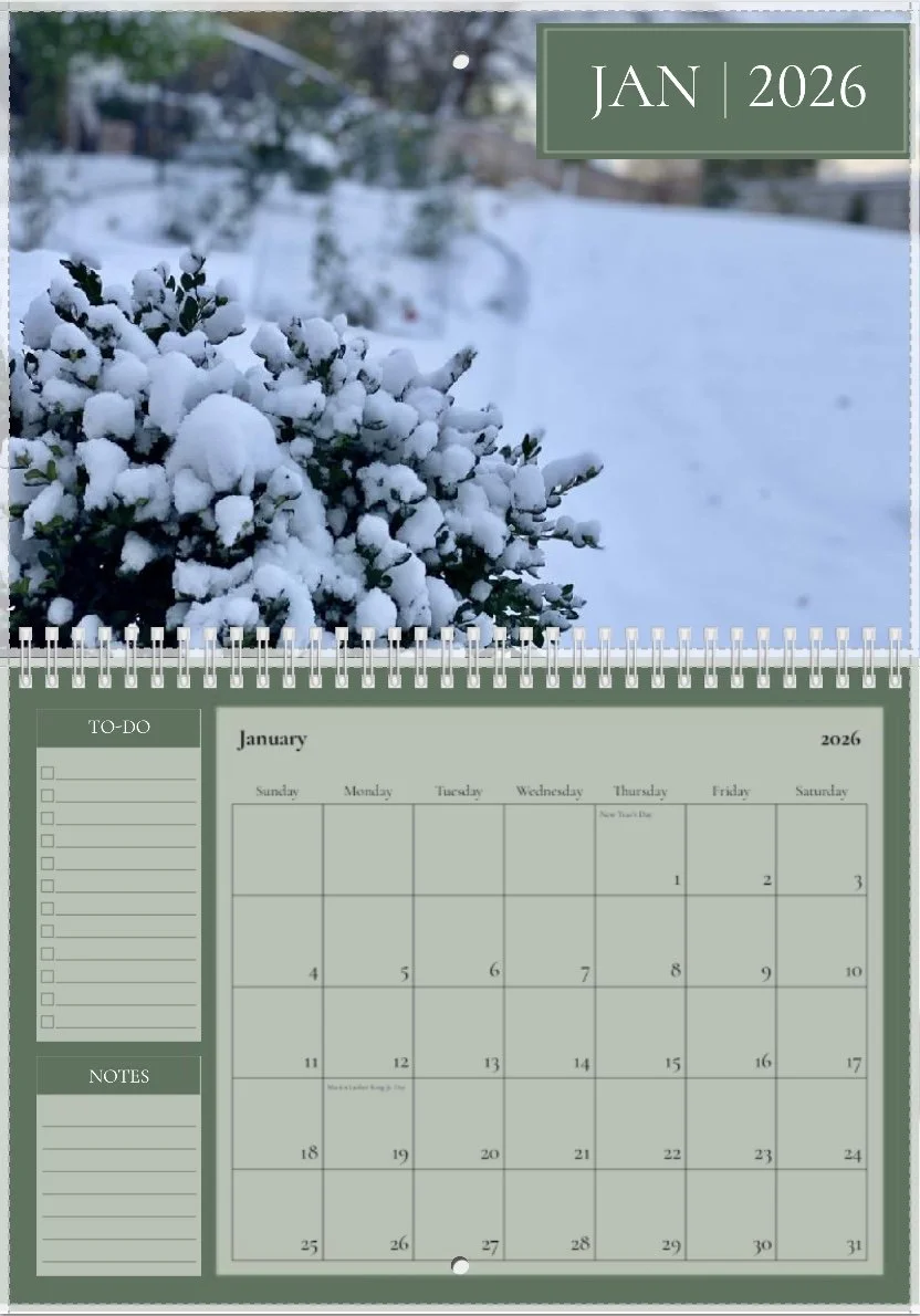 Image 11-13-25 at 8.12 PM.jpeg