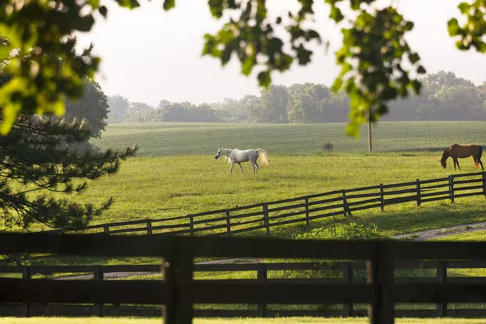 Farm Shelbyville Kentucky13.jpg