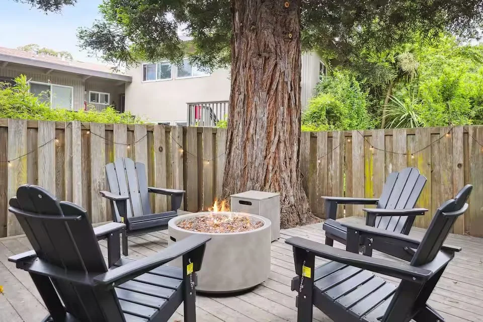 Mid-Century Home  Mill Valley California 38.jpeg.jpg