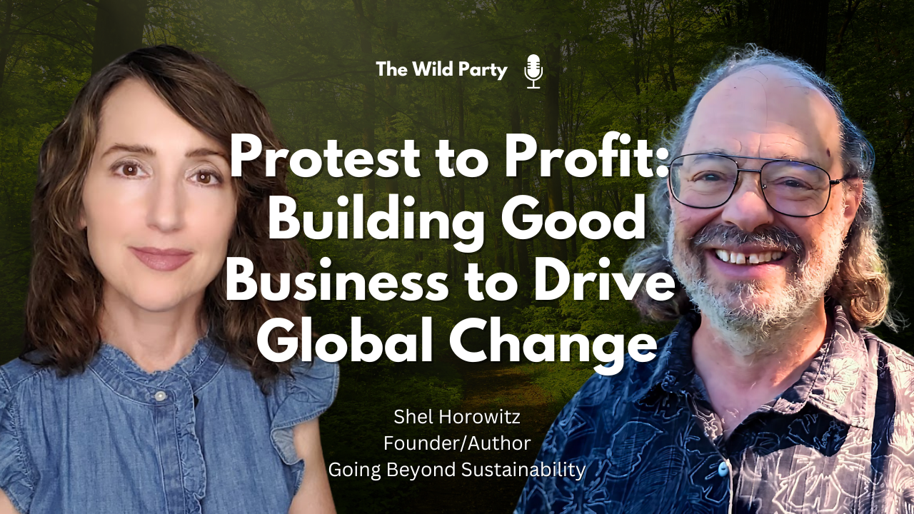 Protest to Profit: Building Good Business to Drive Global Change with Shel Horowitz, Going Beyond Sustainability