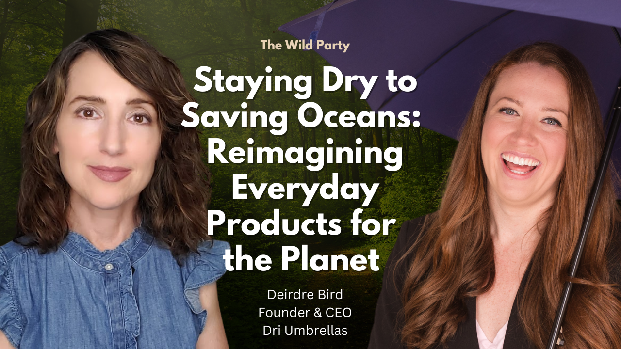 Staying Dry to Saving Oceans:  Reimagining Everyday Products for the Planet  with Deirdre Bird, Dri Umbrellas