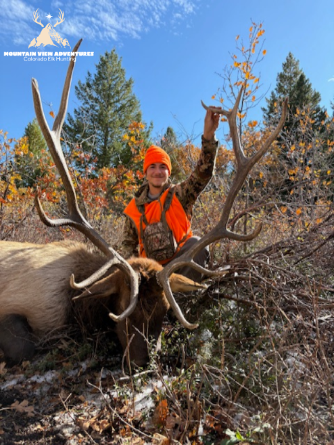 The Ultimate Guided Elk Hunting Experience in Colorado