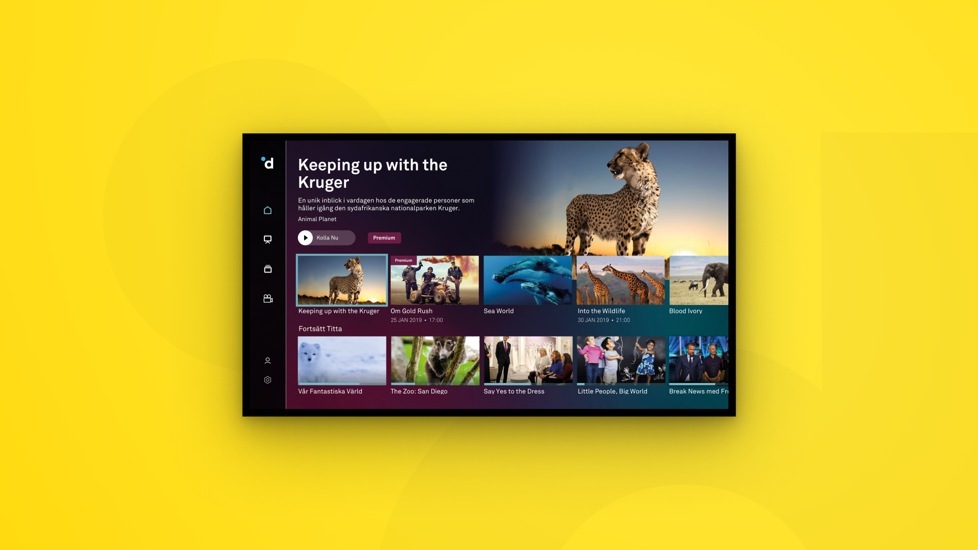 Dplay: CTV Experience