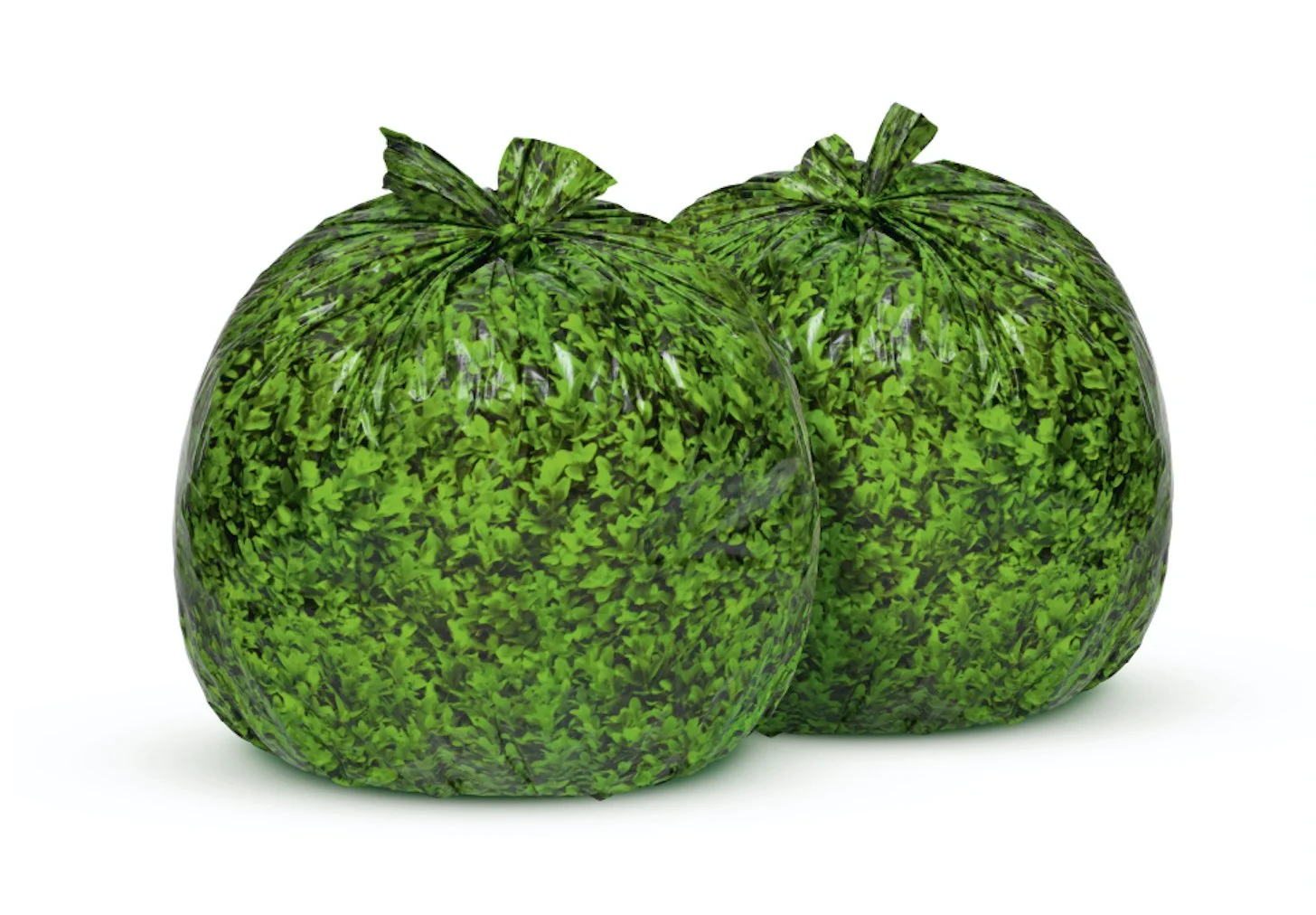 HEART OF THE CITY - BEAUTIFY YOUR CITY