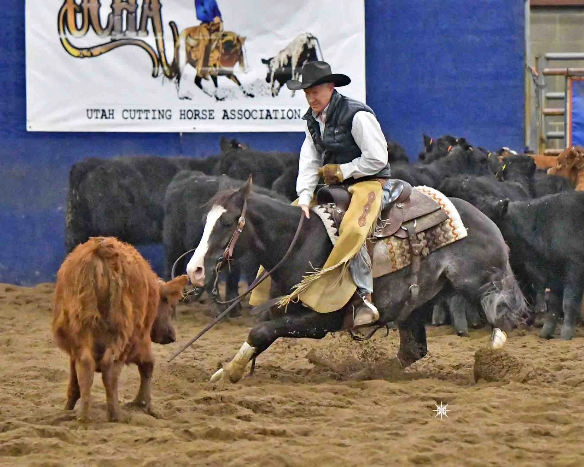 UCHA1017dd (162).JPG