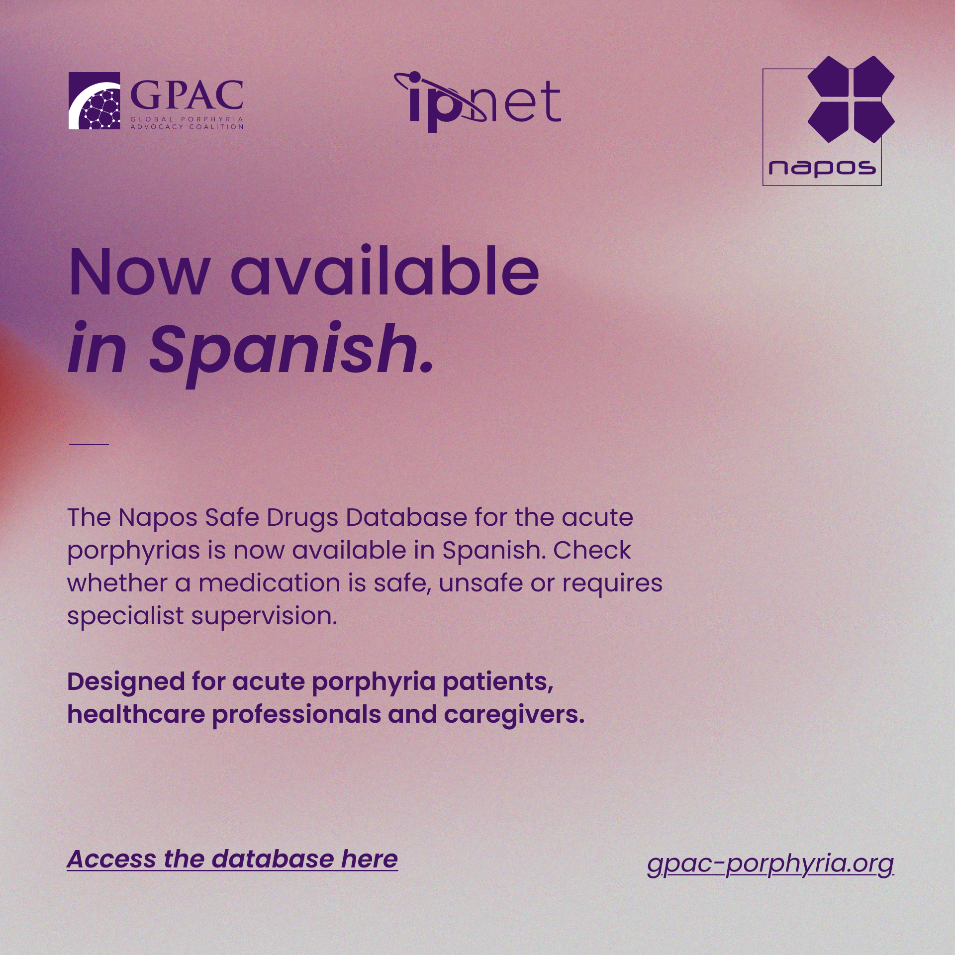 Launch of NAPOS TRANSLATION: A historic milestone for our community