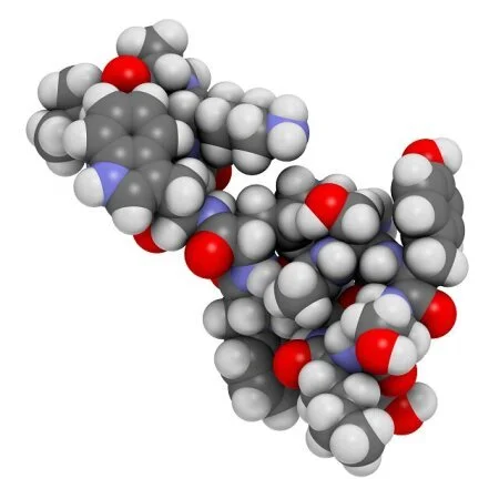 New Horizons for EPP, Erythropoietic Protoporphyria: Advances in Access to Therapies.