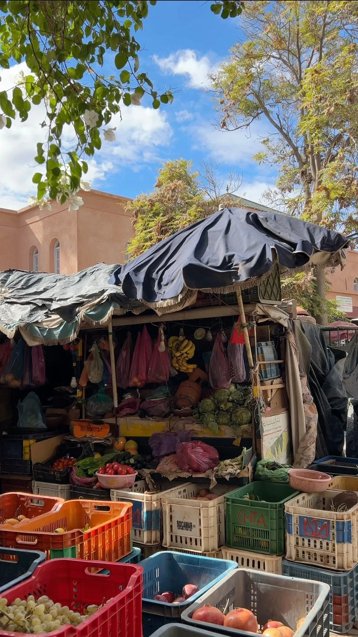 The colors of Marrakesh 🇲🇦
#morocco #marrakesh #marrakech #visitmorocco #visitmarrakech