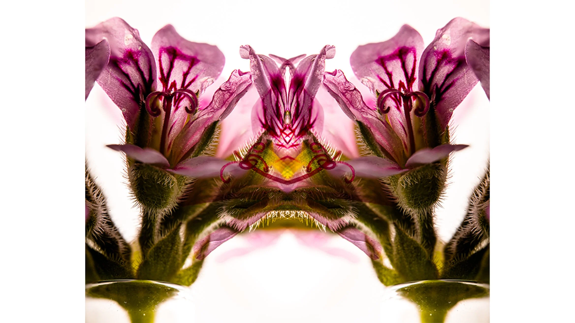 4R5A8345-Edit-Edit1 2.JPG