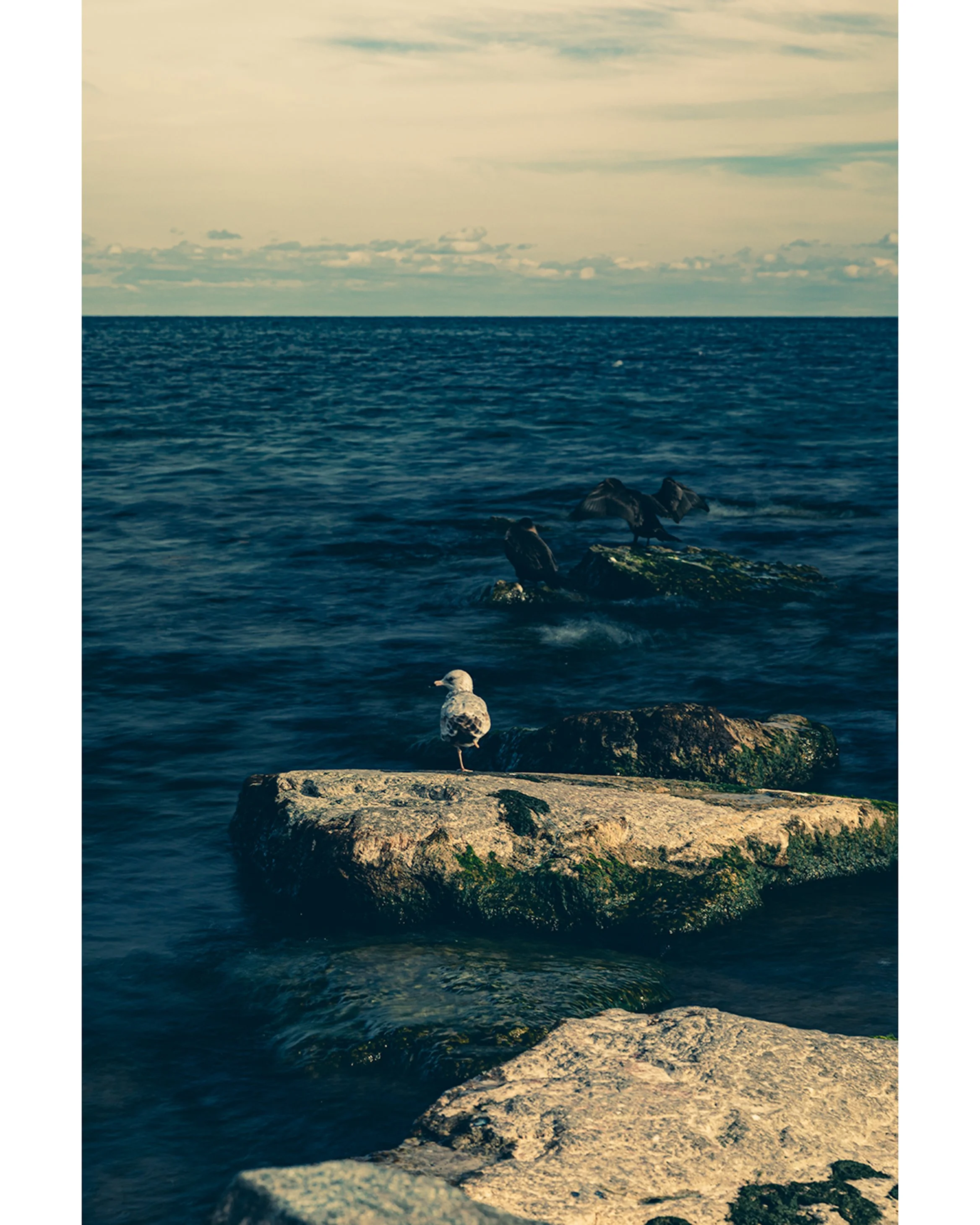 4R5A5543-Edit insta resize.JPG