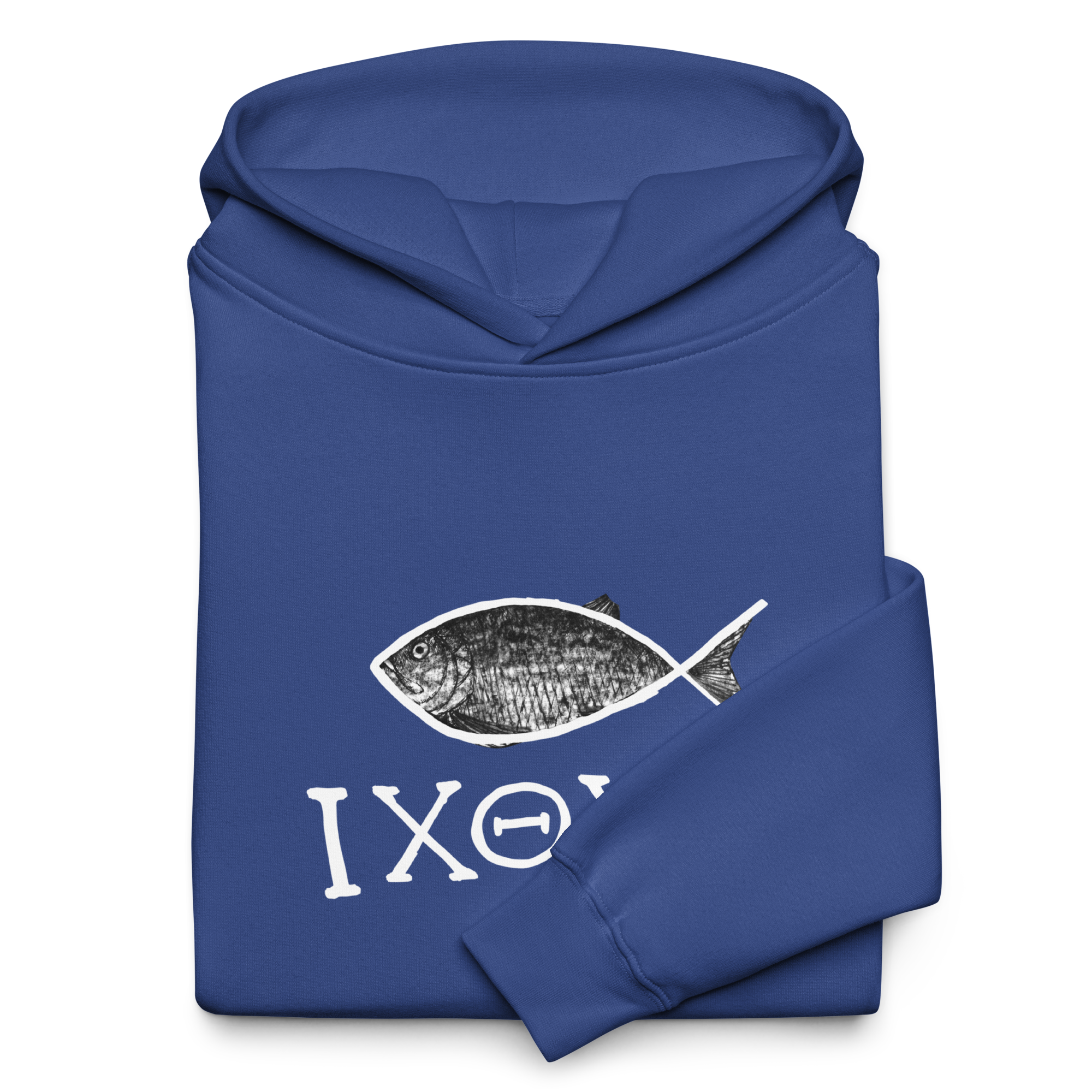 unisex-oversized-hoodie-cobalt-front-671feb3e03f32.png