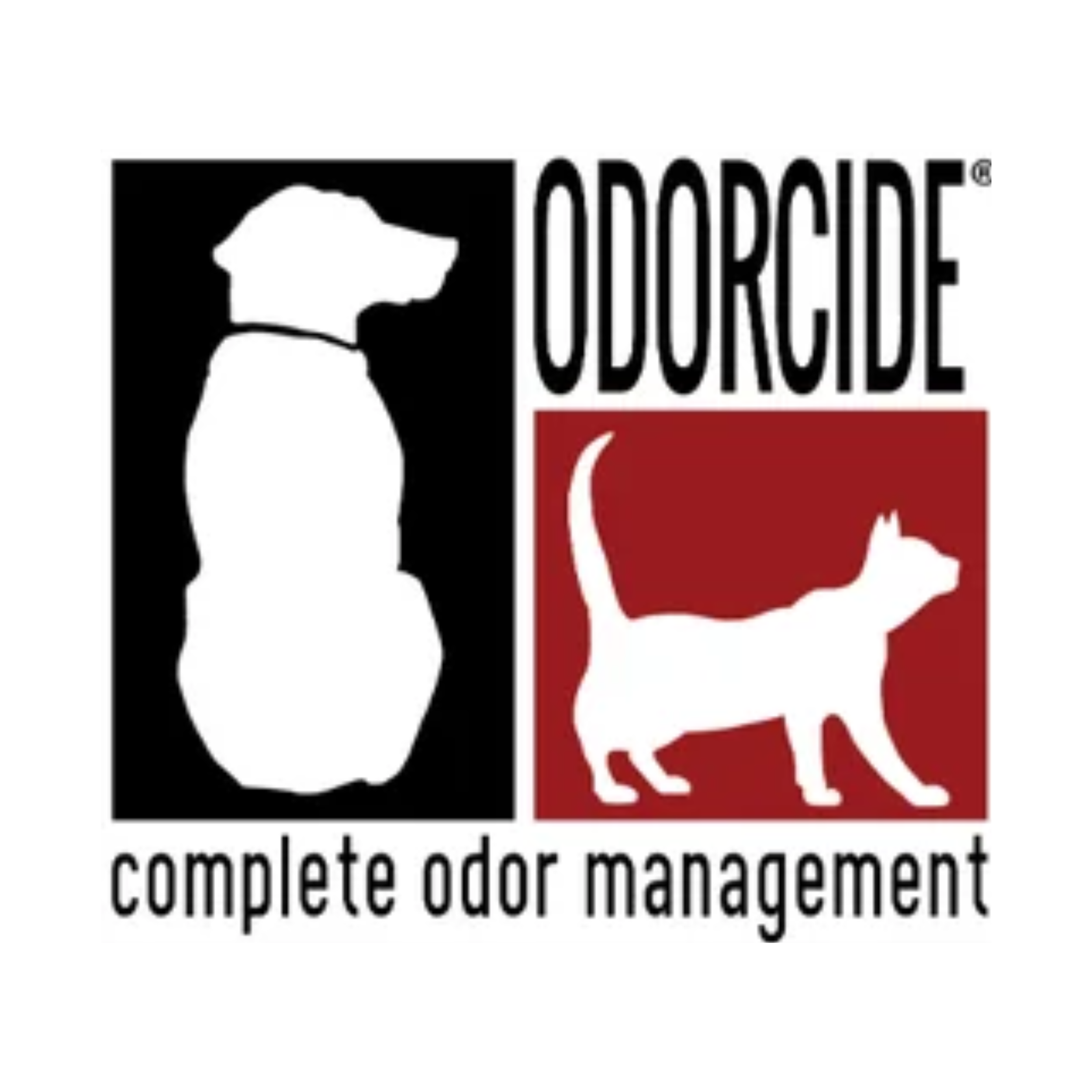 Logo (20).png