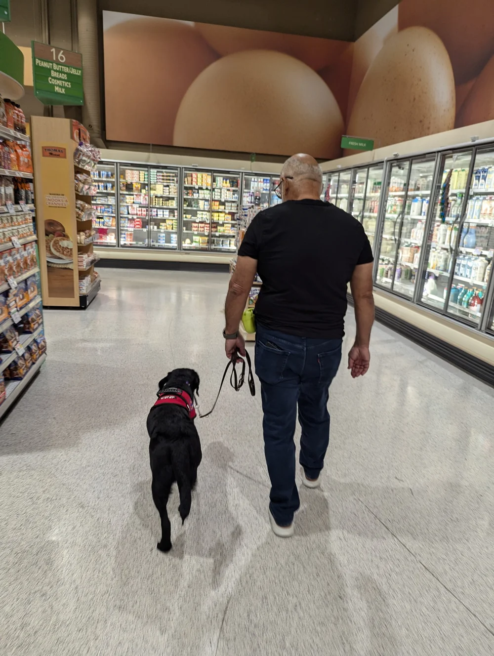 Image for Question 1