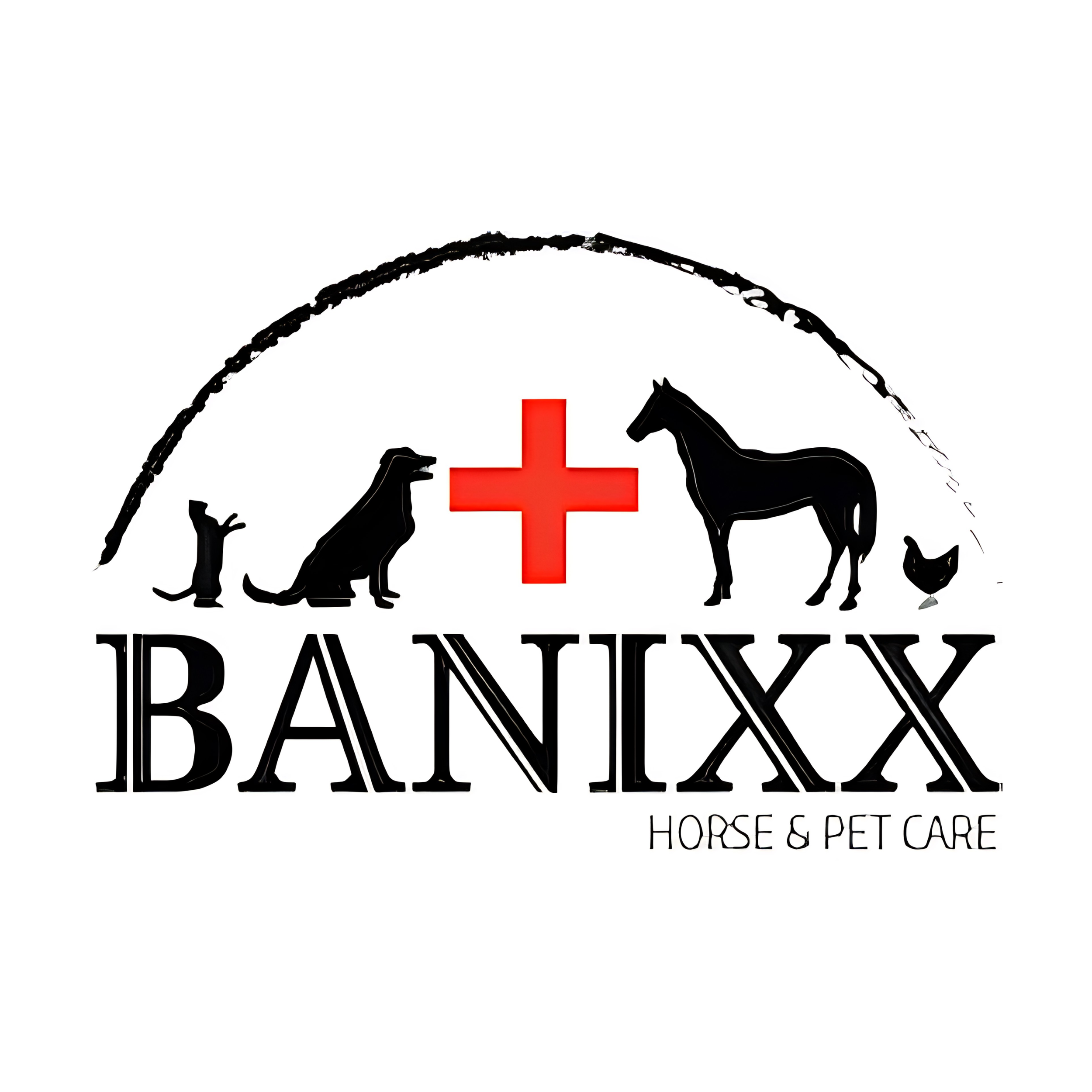 Logo (21).png