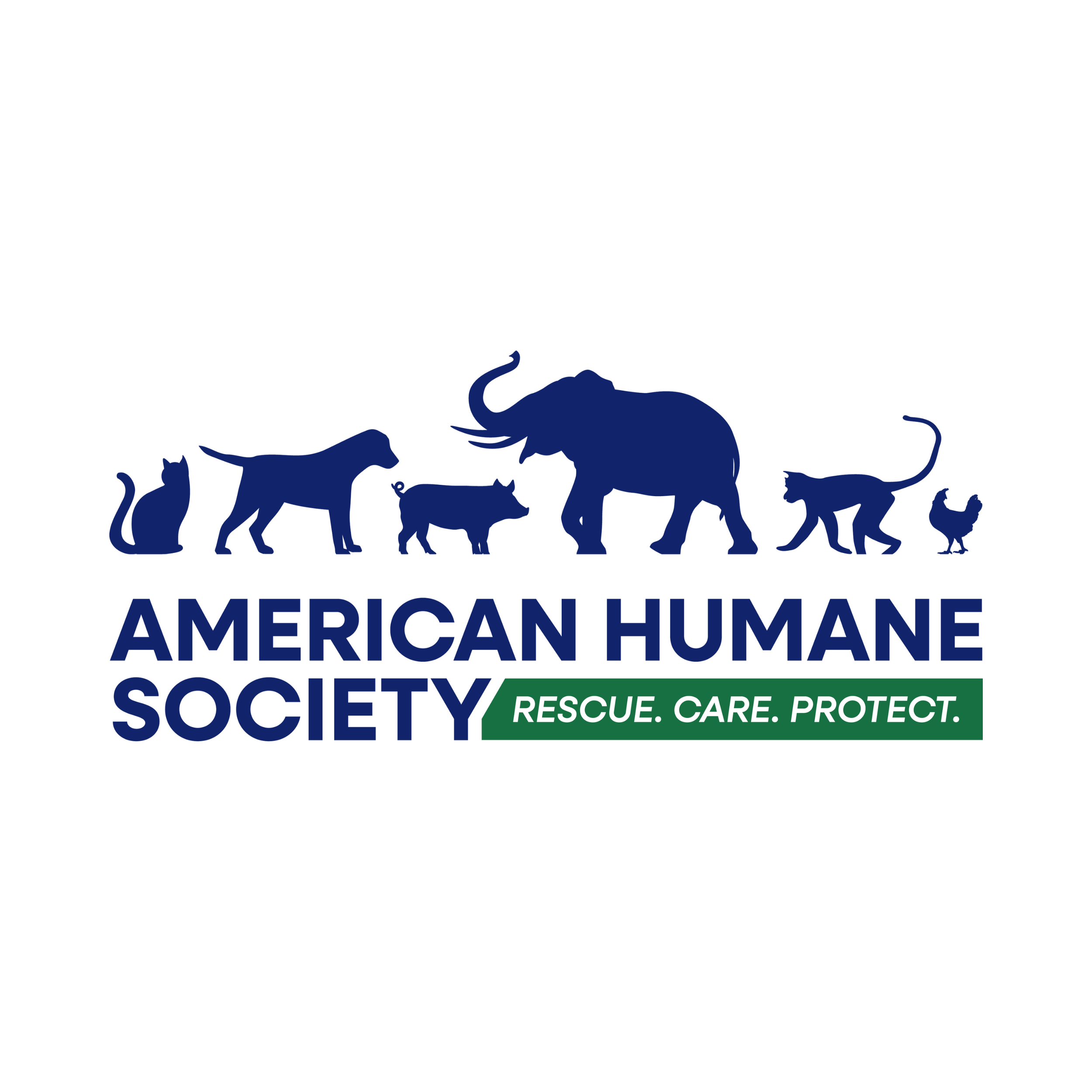 Logo (23).png