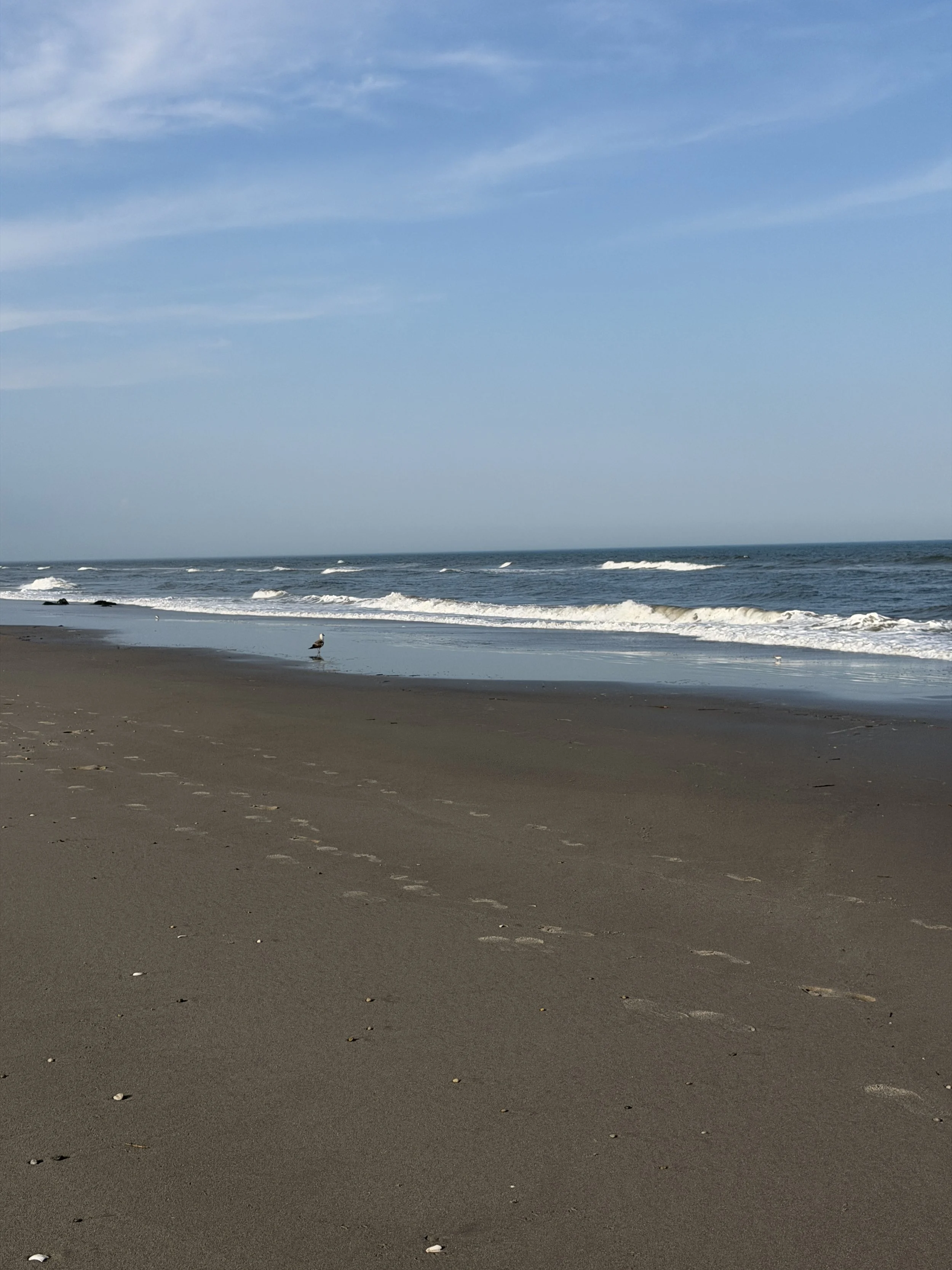 IMG_7114.jpeg