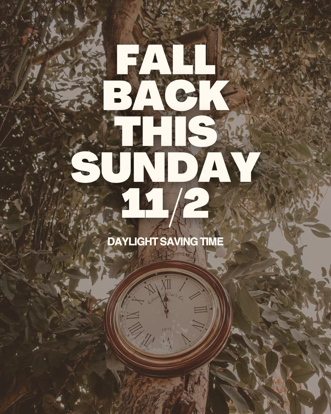 Don't forget we &quot;fall back&quot; so set your clocks back an hour tonight!