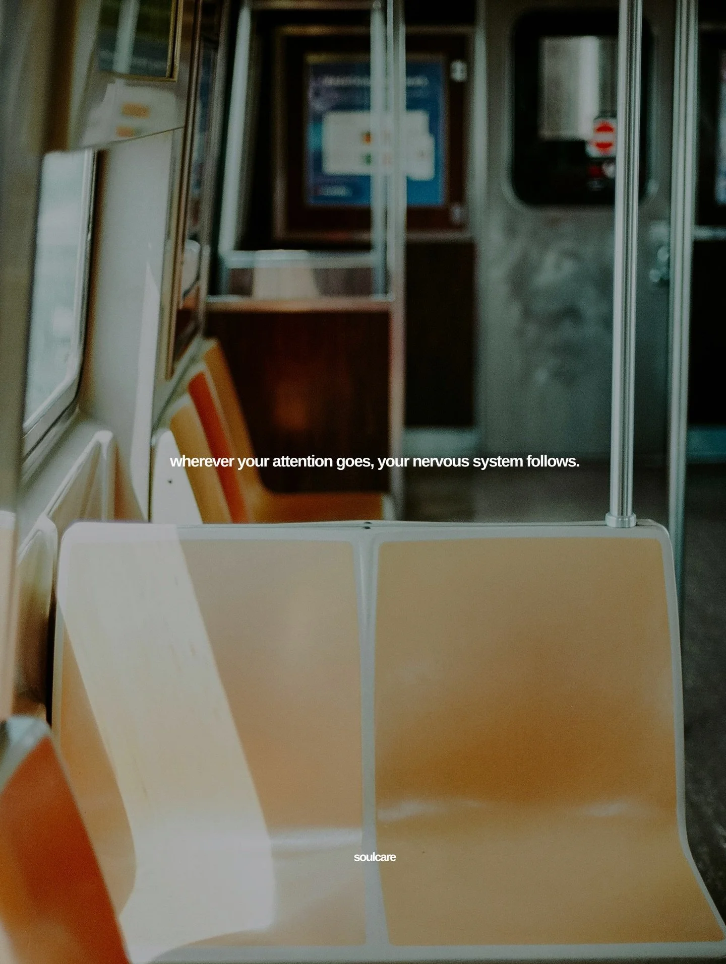 Your attention is one of the most potent creative forces you possess. Wherever your attention goes, your nervous system follows. The brain strengthens the pathways you return to most often, and the body learns to mirror the signals the brain repeats.