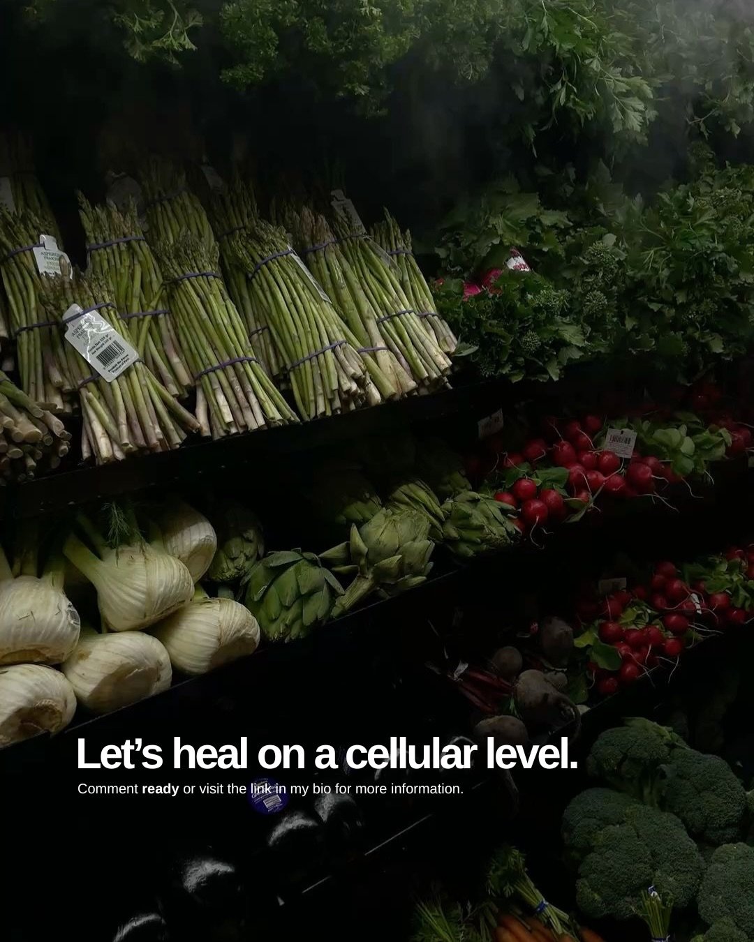 Overview: This free experience includes tools for both physical and emotional clearing, including somatic practices, journaling, nervous system support, and our private community space.
 
It is officially Early Spring. The seasonal bridge between con