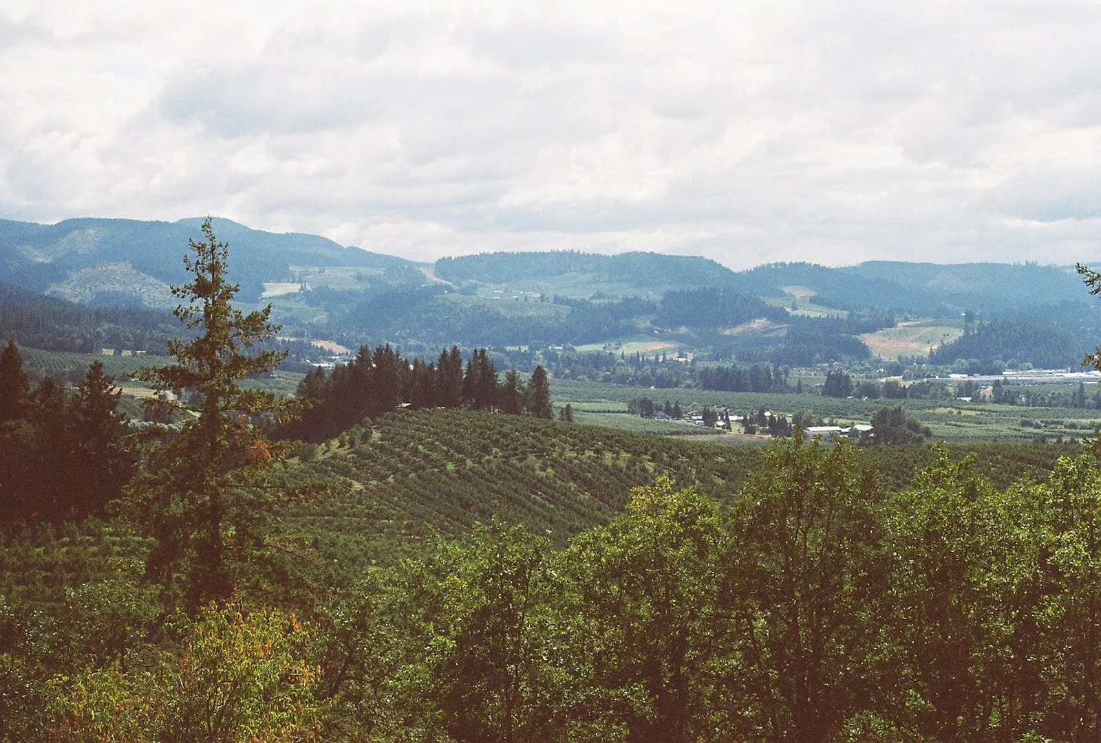 R1-07016-023A.jpg