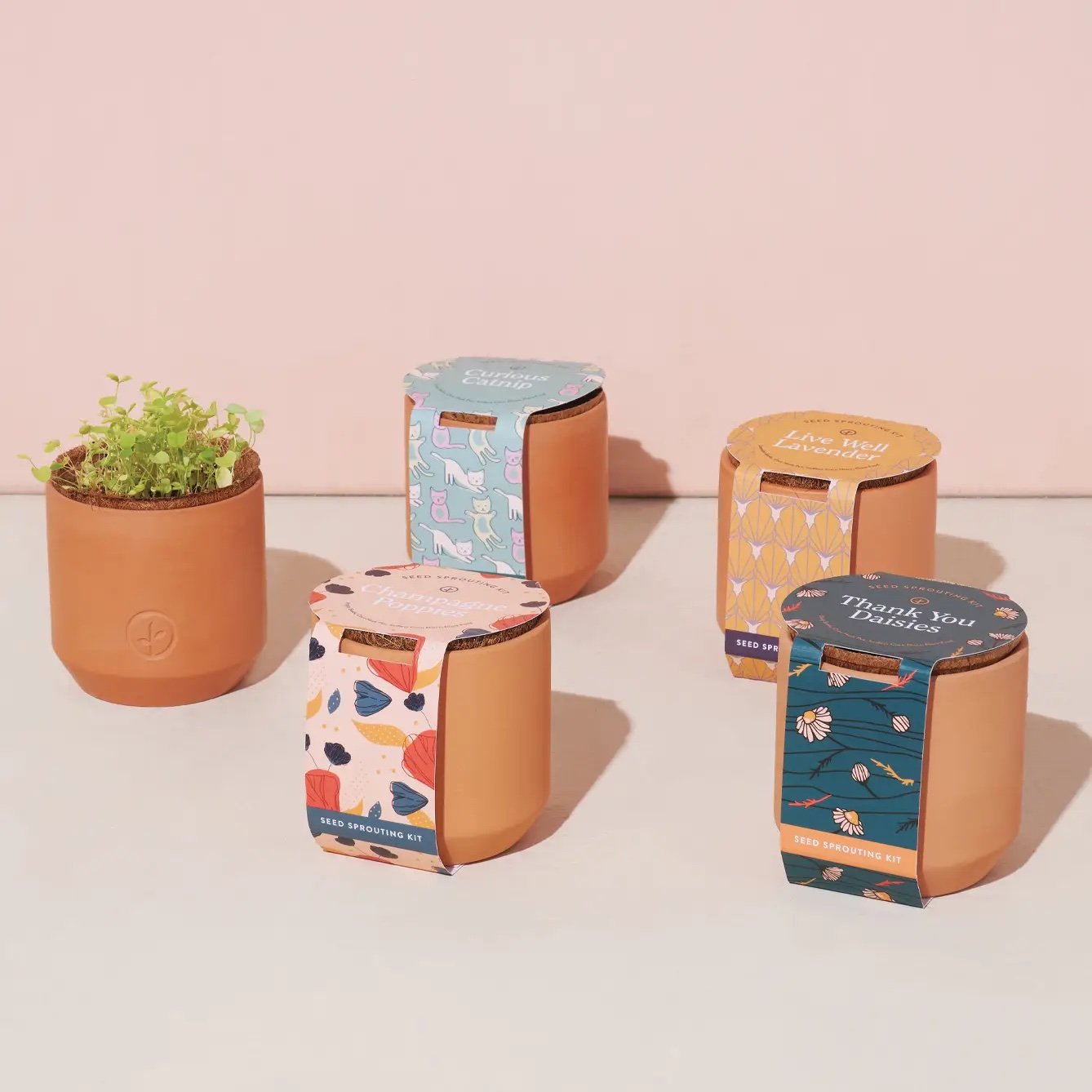 Tiny Terracotta - Grouping .jpg