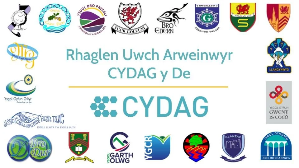 Rhaglen Uwch Arweinwyr y De: Cwricwlwm