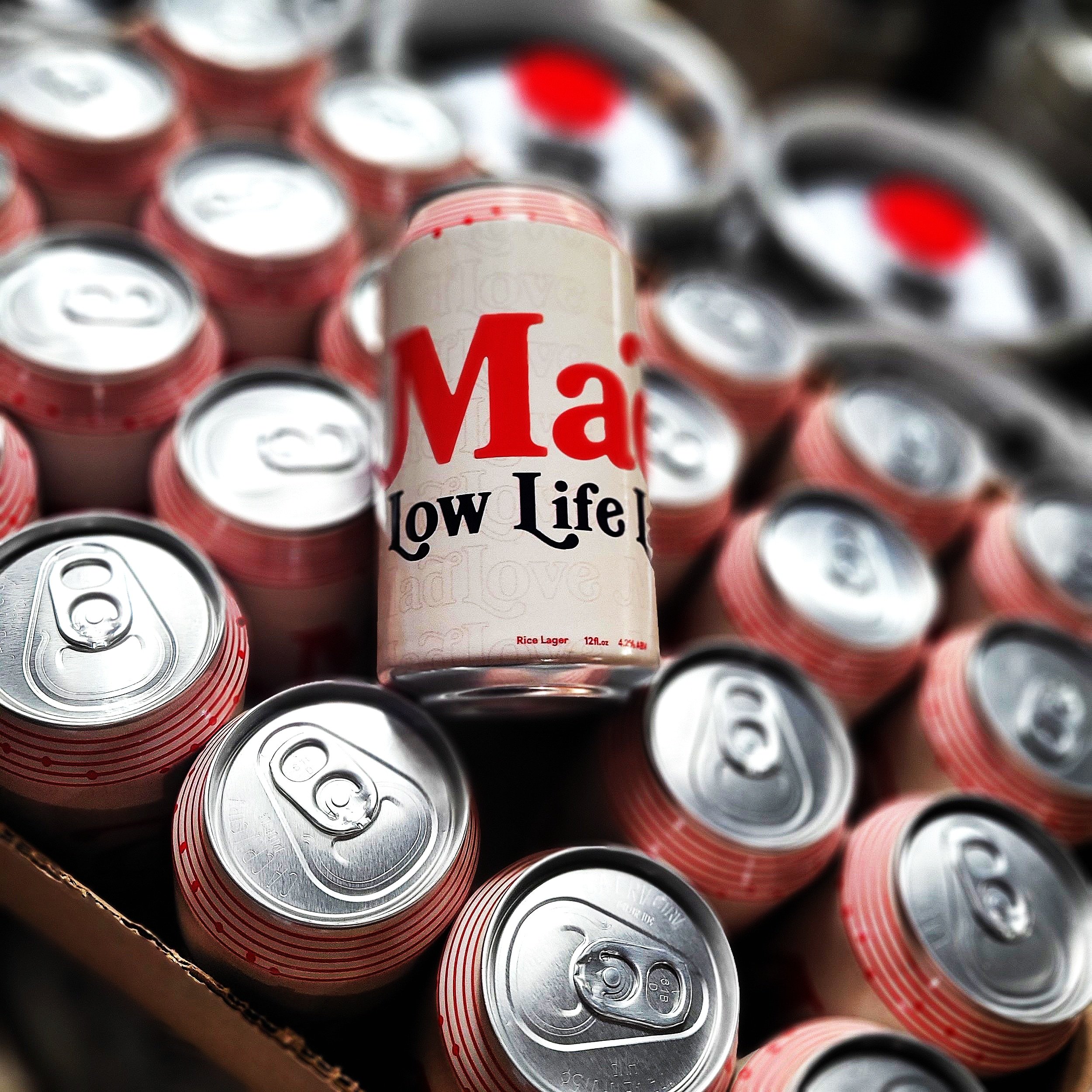 Low Life Lager Case $50
