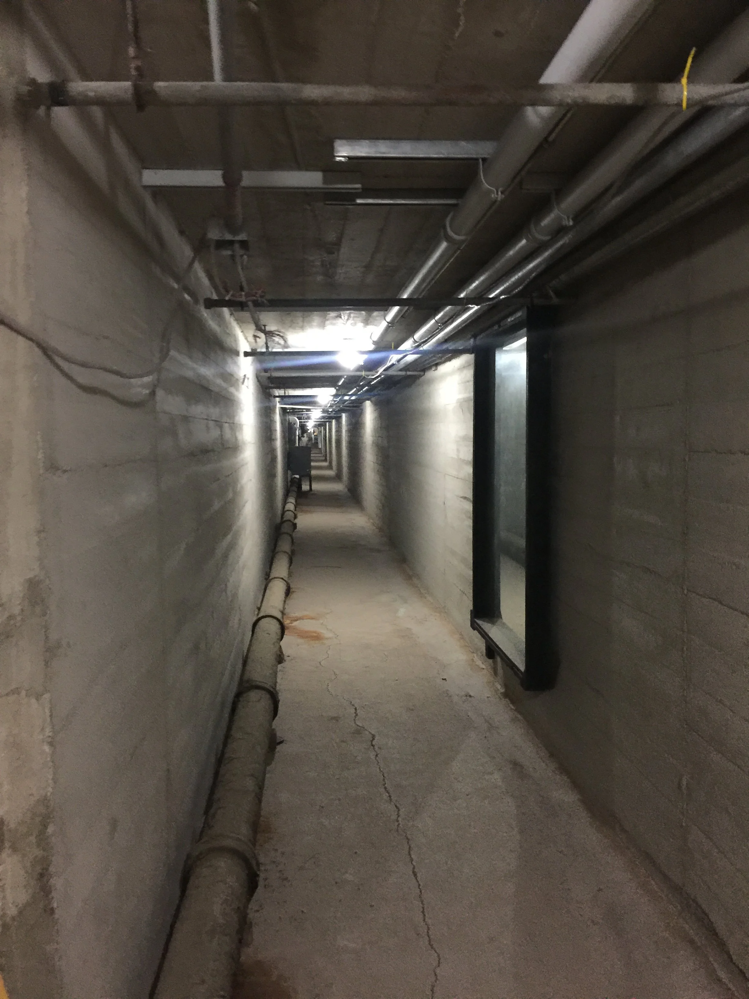 existing tunnel system.JPG