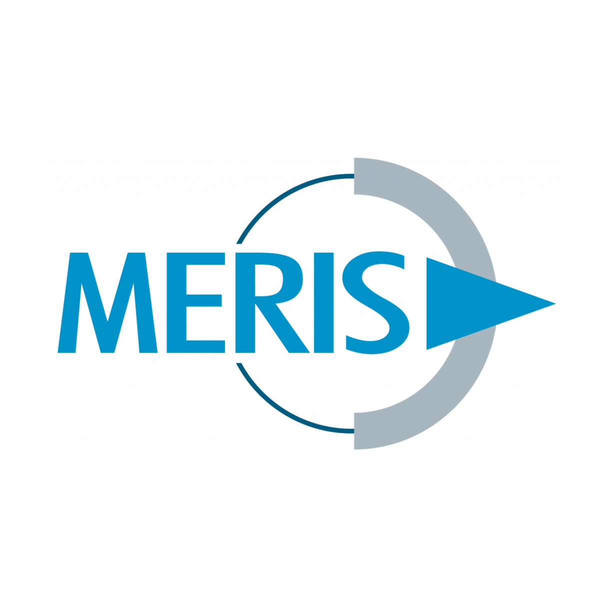 Meris.png