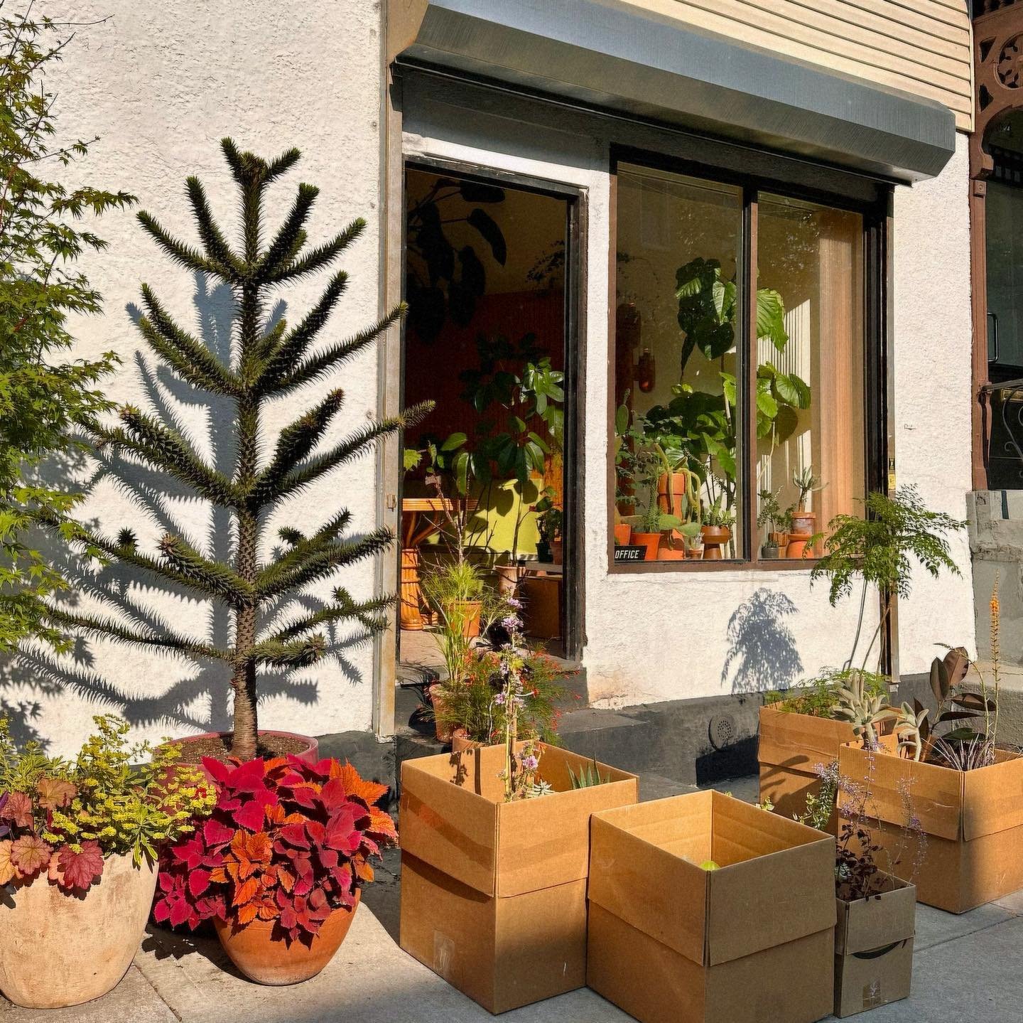 There is no easy way! Everyone is packed up for their journey to the city today. Setting up a booth @normal.nyc Market which will be open Saturday and Sunday 10-6 @ 101 7th Ave 100111 📦🌱🤗 
.
.
#urbanjungle #urbanjunglebloggers #plantsmakepeoplehap